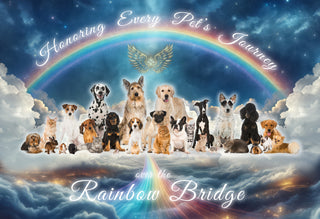 Saying Goodbye: How to Cope With the Loss of Your Beloved Dog