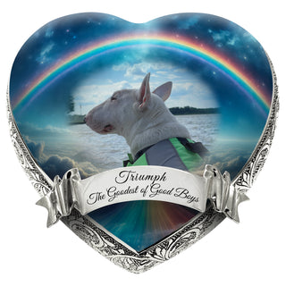 Create A Custom Pet Urn